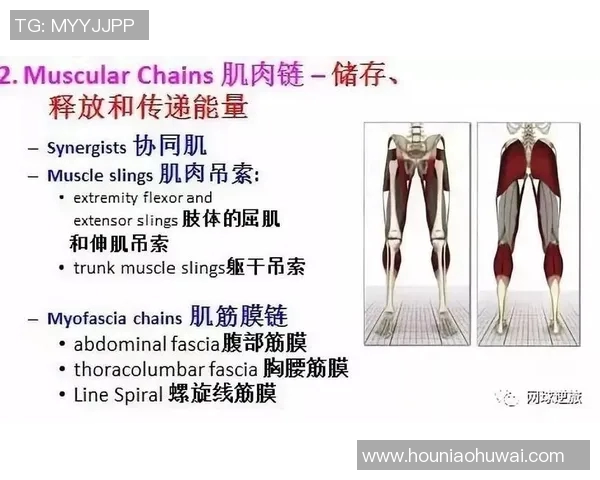 深圳网球队实力对比深度解析与未来发展展望